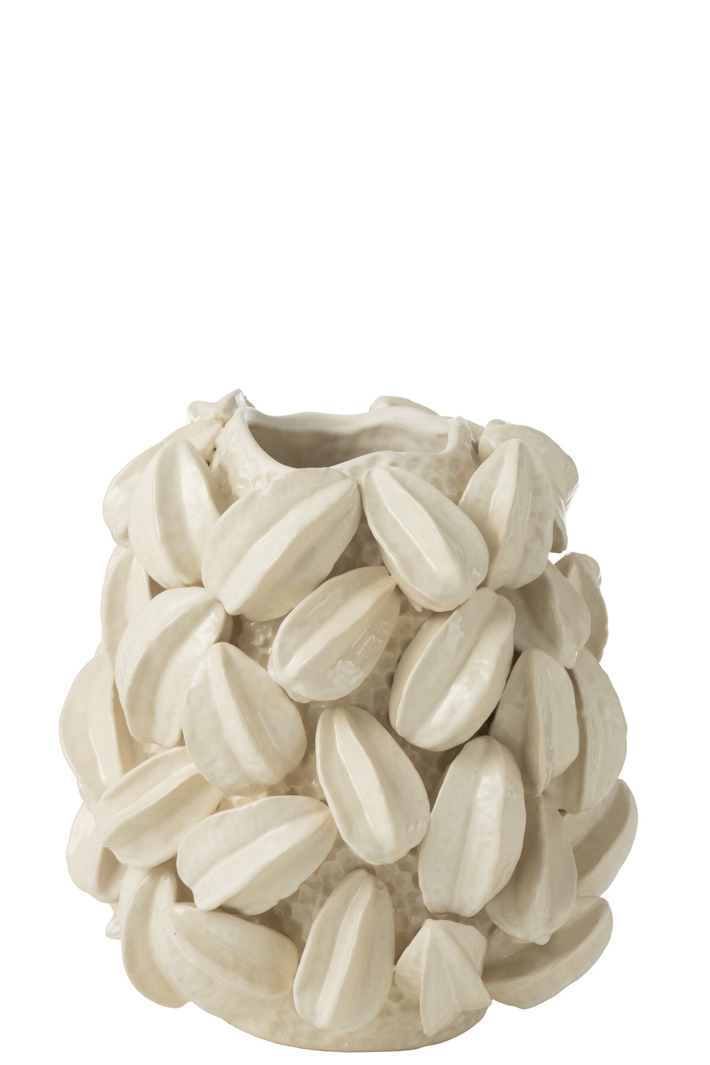VASO BOTANICA FAVA DI CACAO