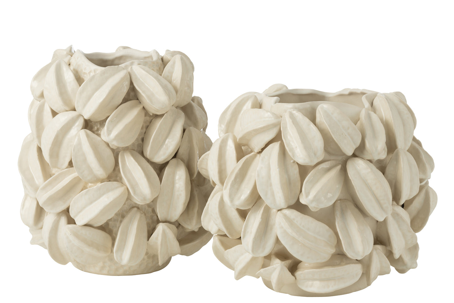 VASO BOTANICA FAVA DI CACAO