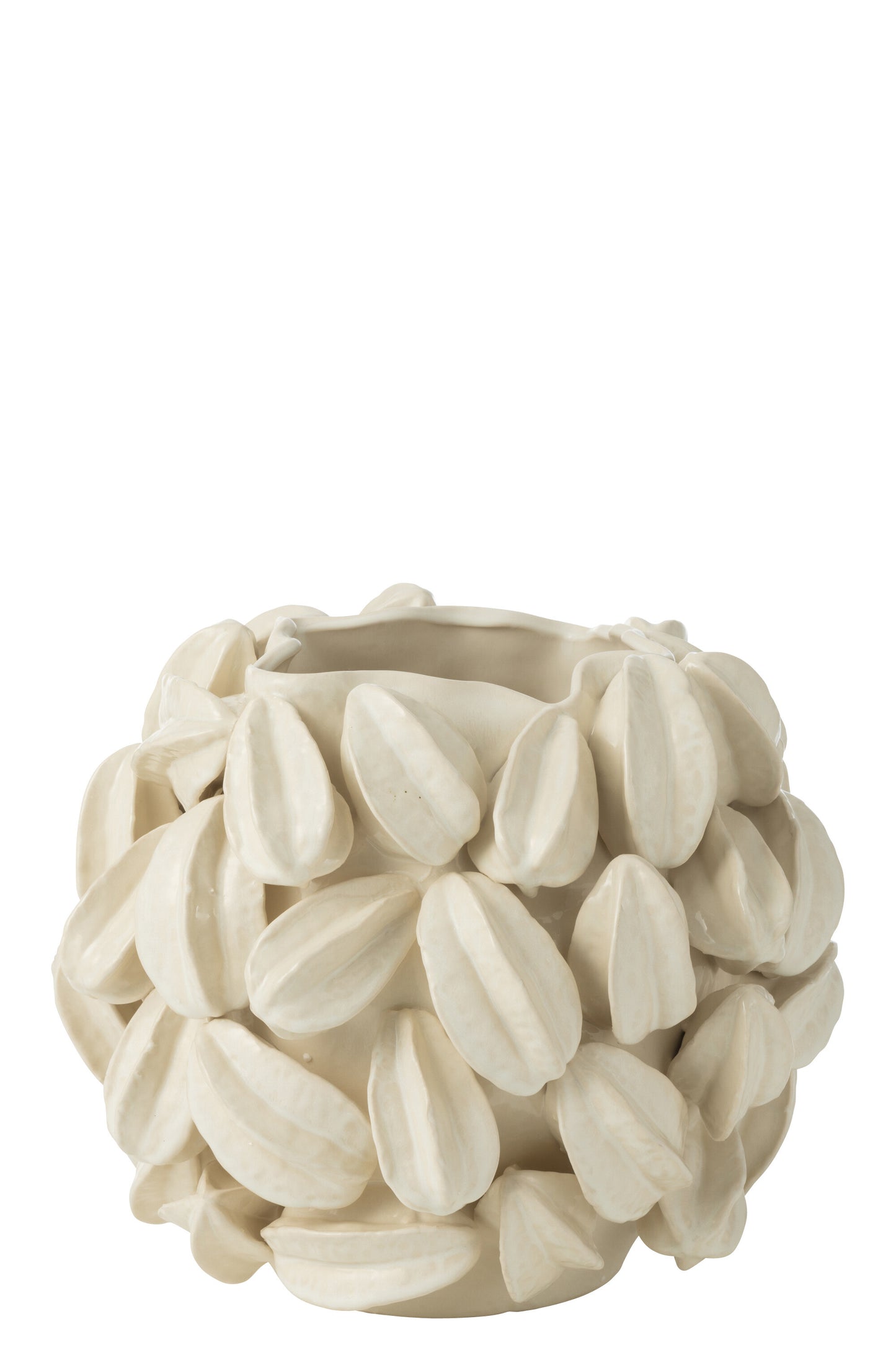 VASO BOTANICA FAVA DI CACAO
