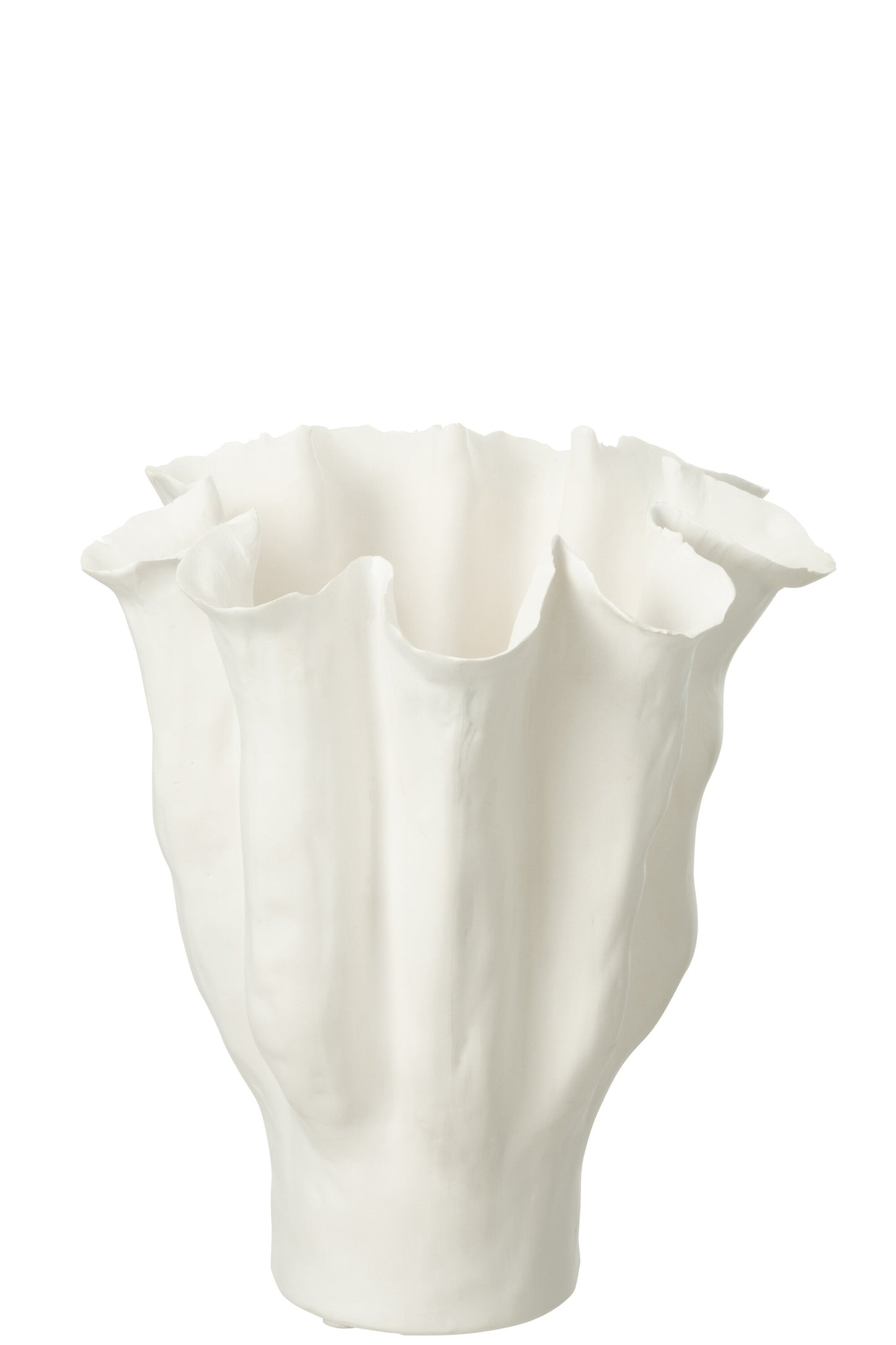 VASO CALYX
