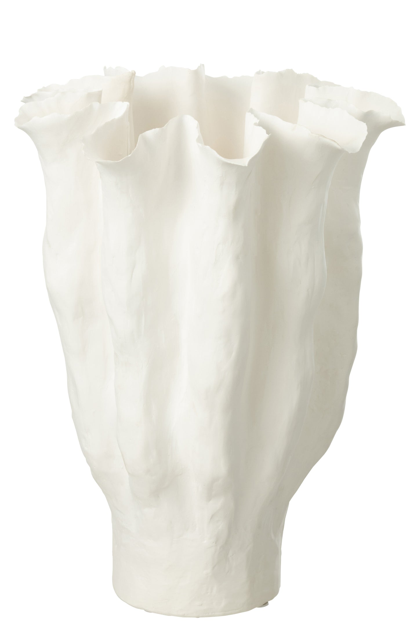VASO CALYX